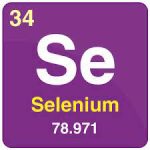 Comprehensive Guide to Selenium Installation